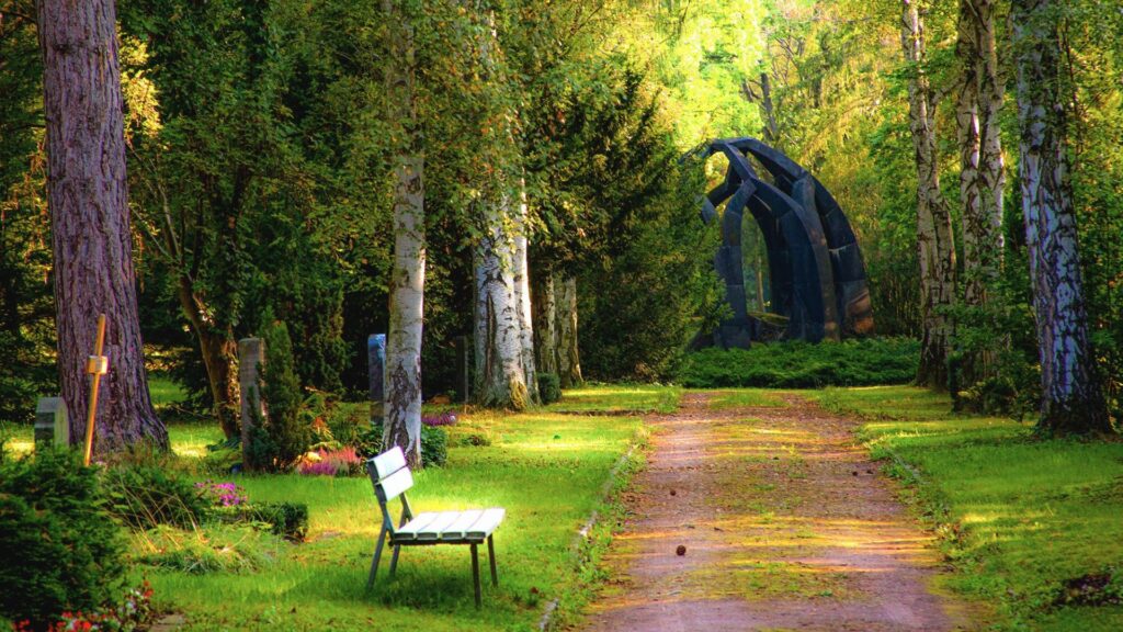 A beautiful forest cemetery on a sunny day.