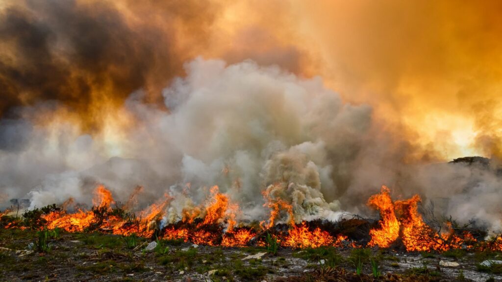 An wideshot of a wildfire burning acres of land.