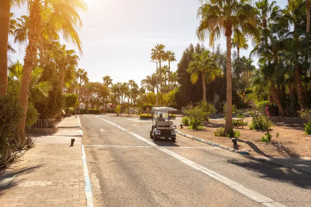 A person driving a golf kart on a road.