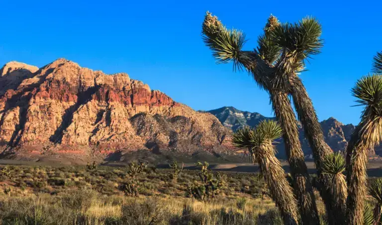 An overview of the Las Vegas desert.