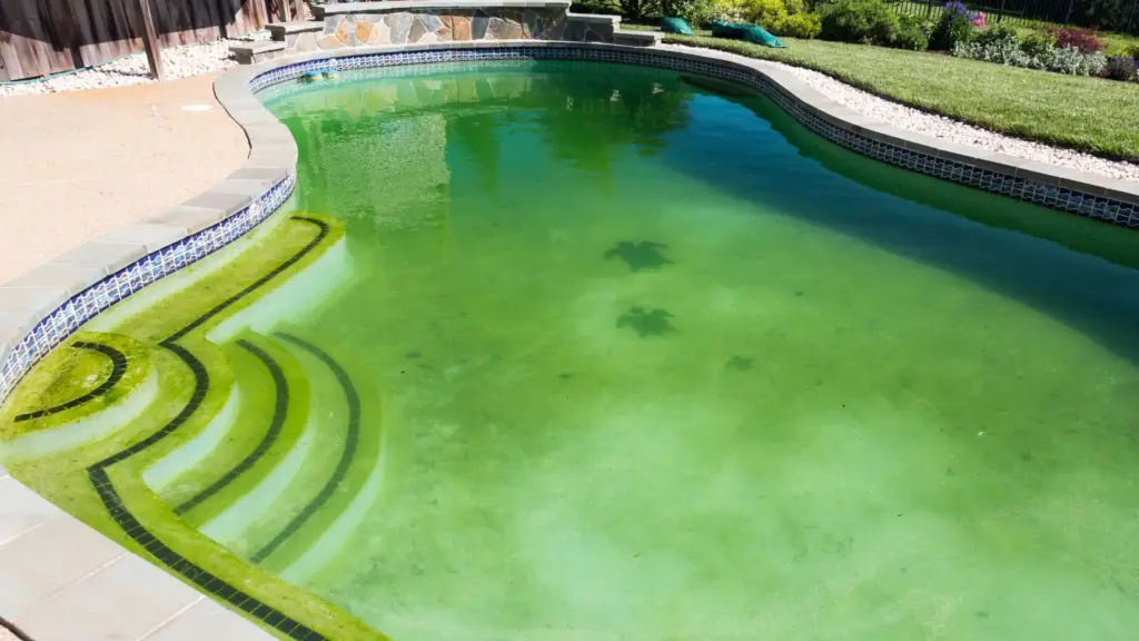 A dirty green pool.