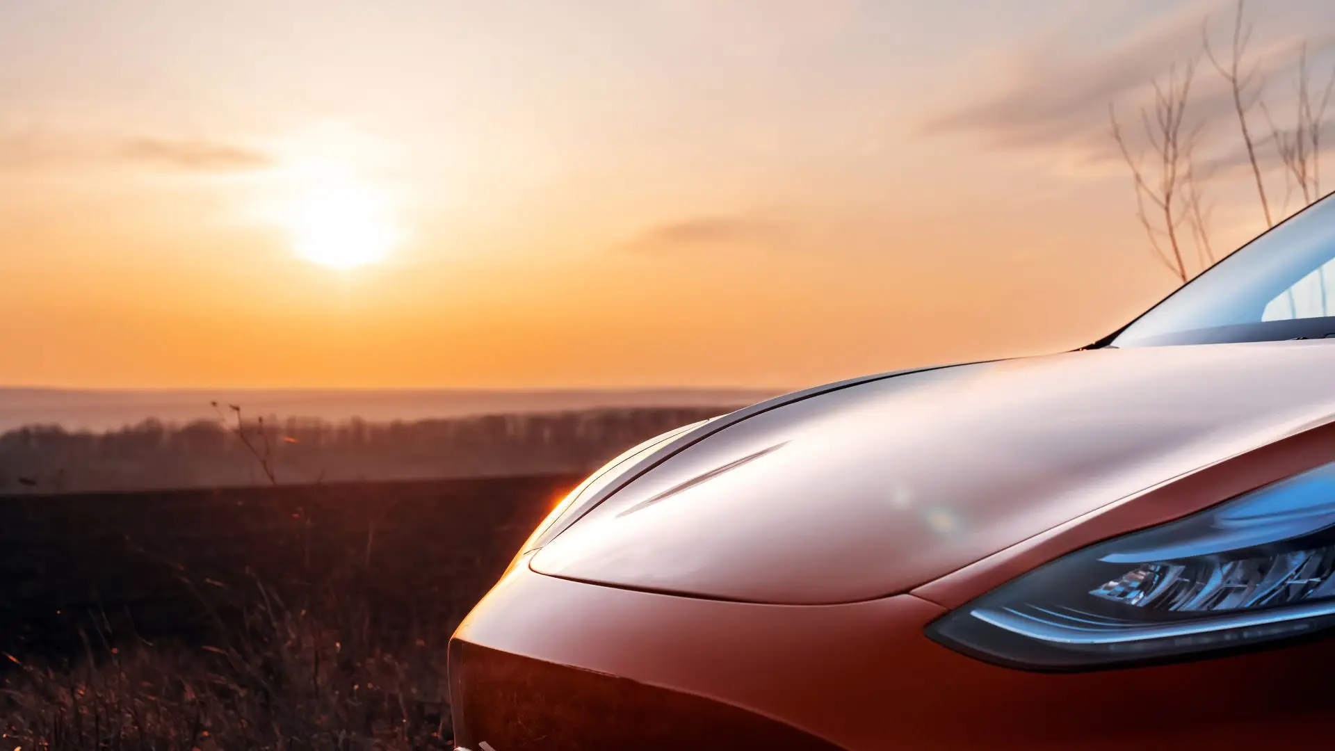 A red Tesla driving through a desert.